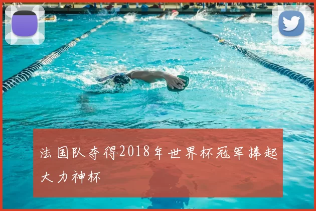 法国队夺得2018年世界杯冠军捧起大力神杯