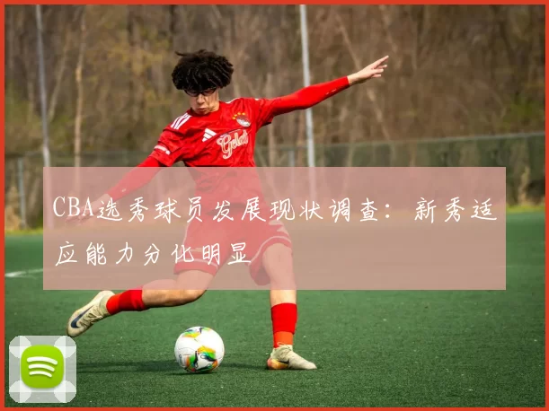 CBA选秀球员发展现状调查：新秀适应能力分化明显