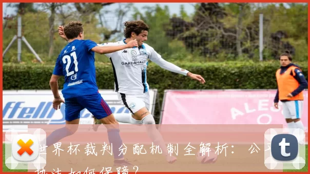 世界杯裁判分配机制全解析：公平执法如何保障？