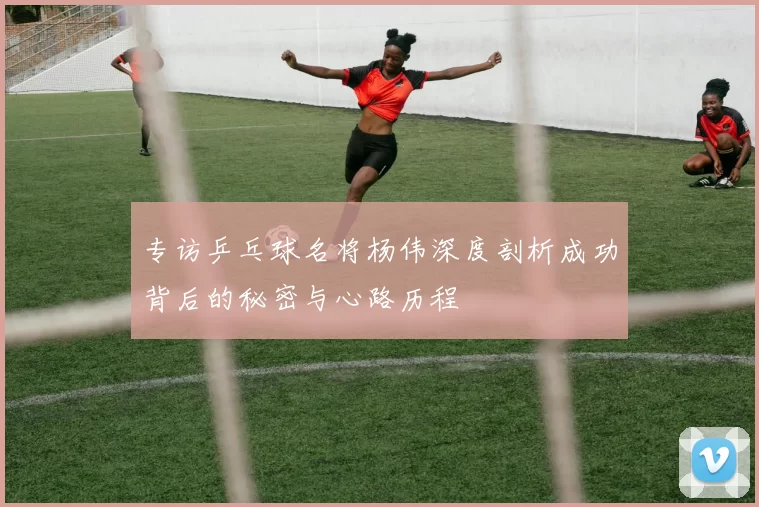 专访乒乓球名将杨伟深度剖析成功背后的秘密与心路历程