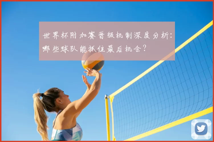 世界杯附加赛晋级机制深度分析:哪些球队能抓住最后机会?
