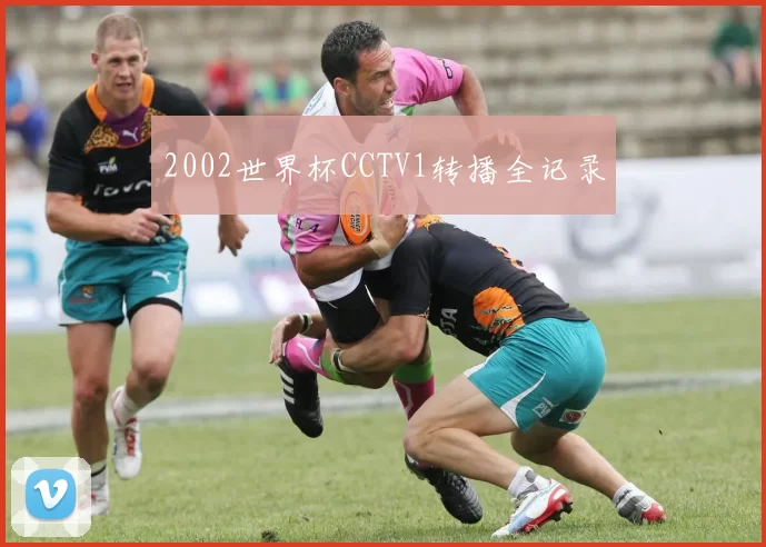 2002世界杯CCTV1转播全记录