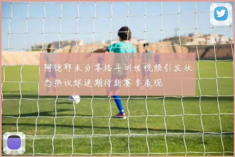 阿德耶米分享格斗训练视频引发状态热议球迷期待新赛季表现