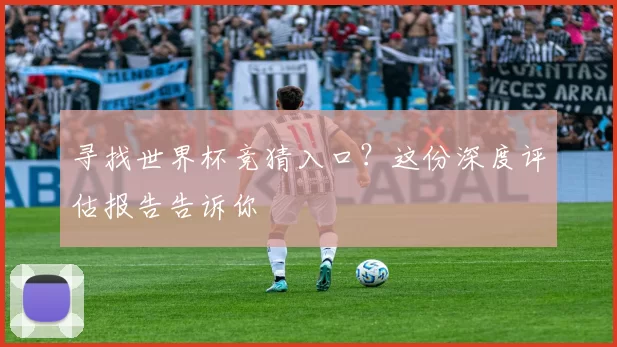 寻找世界杯竞猜入口?这份深度评估报告告诉你