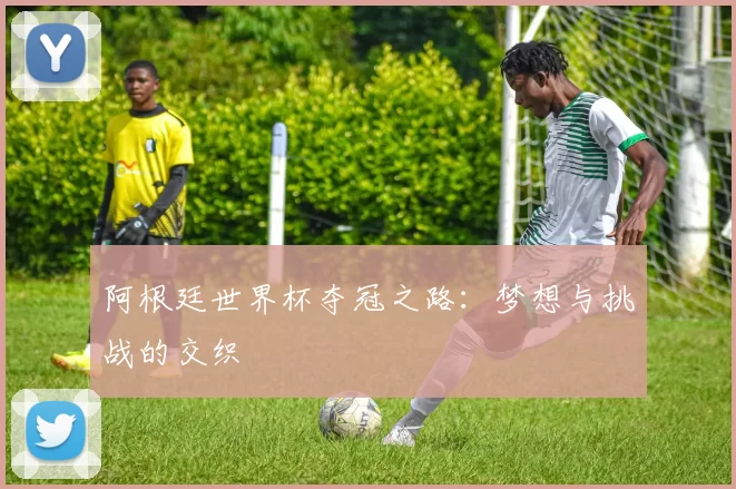 阿根廷世界杯夺冠之路：梦想与挑战的交织