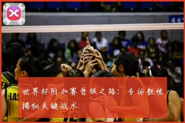 世界杯附加赛晋级之路:专访教练揭秘关键战术