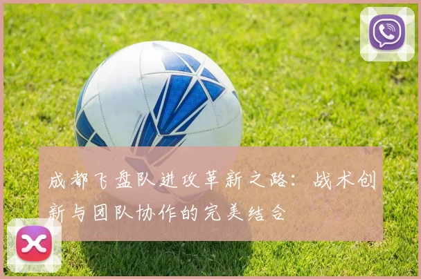 成都飞盘队进攻革新之路:战术创新与团队协作的完美结合