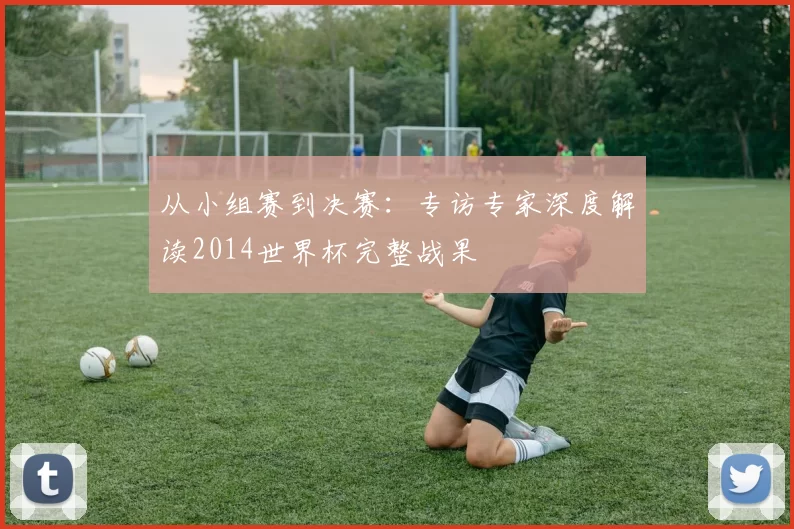 从小组赛到决赛:专访专家深度解读2014世界杯完整战果