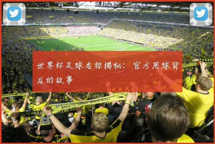 世界杯足球名称揭秘:官方用球背后的故事