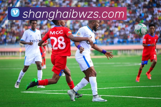 西安飞盘队区域防守战术分析与实战应用探讨